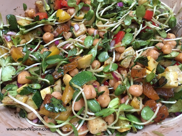 Ally's-book-review-channa-salad